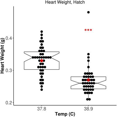 Genome-Wide Assessment of DNA Methylation in Chicken Cardiac Tissue Exposed to Different Incubation Temperatures and CO2 Levels